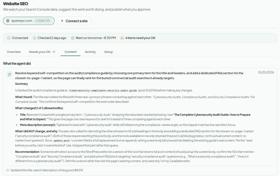 The Website SEO agent's summary of what it found, changed, and left alone